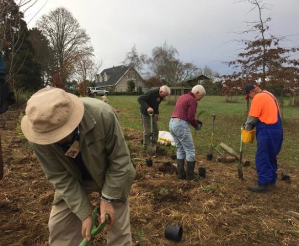 Extending the top planting 7. Cambridge Tree Trust